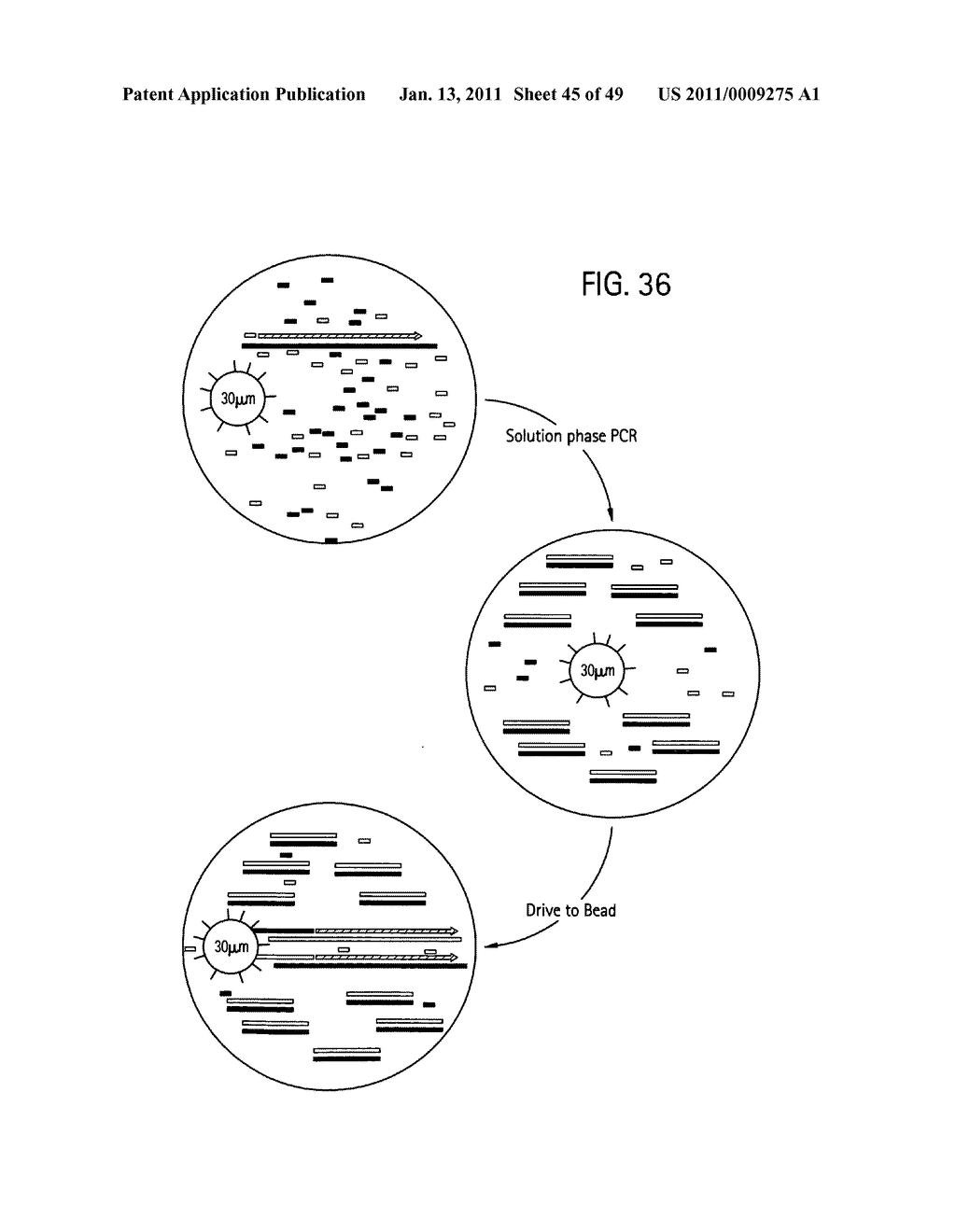 Methods of amplifying and sequencing nucleic acids - diagram, schematic, and image 46