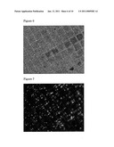 HIGH THROUGHPUT SCREENING METHOD AND APPARATUS FOR ANALYSING INTERACTIONS BETWEEN SURFACES WITH DIFFERENT TOPOGRAPHY AND THE ENVIRONMENT diagram and image