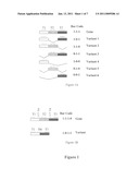 MOLECULAR IN VITRO DIAGNOSIS OF BREAST CANCER diagram and image