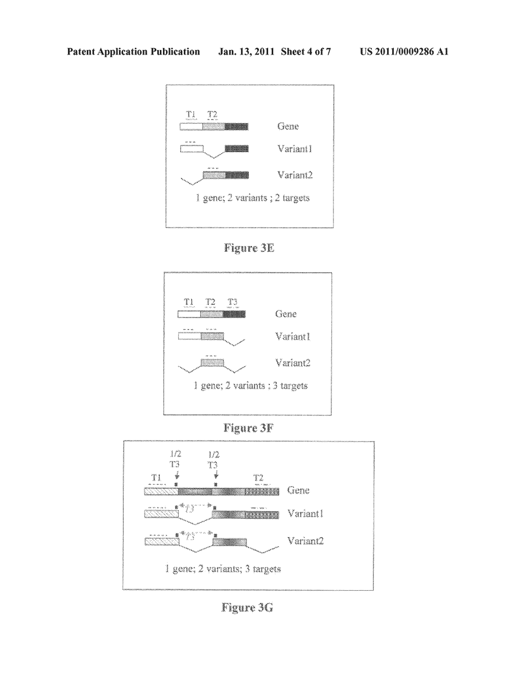 MOLECULAR IN VITRO DIAGNOSIS OF BREAST CANCER - diagram, schematic, and image 05