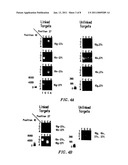 METHODS OF USING AN ARRAY OF POOLED PROBES IN GENETIC ANALYSIS diagram and image