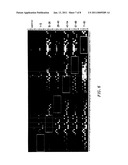 METHODS OF USING AN ARRAY OF POOLED PROBES IN GENETIC ANALYSIS diagram and image