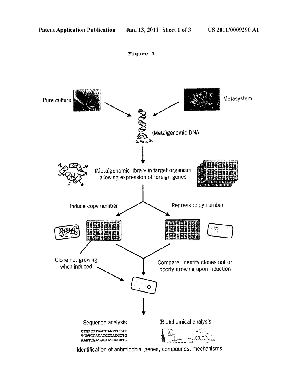 Methods for Identifying One or More Bioactive Genes - diagram, schematic, and image 02