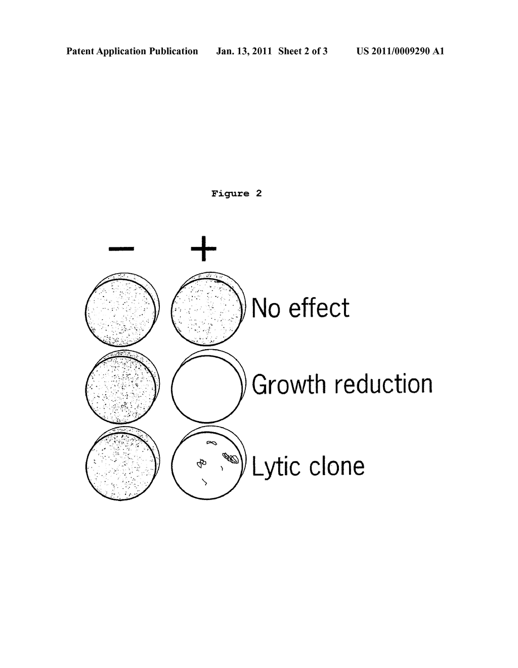 Methods for Identifying One or More Bioactive Genes - diagram, schematic, and image 03