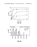 PEPTIDES AND THEIR UTILITY IN MODULATION OF BEHAVIOR OF CELLS EXPRESSING ALPHA3 BETA1 INTEGRINS diagram and image