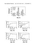 PEPTIDES AND THEIR UTILITY IN MODULATION OF BEHAVIOR OF CELLS EXPRESSING ALPHA3 BETA1 INTEGRINS diagram and image