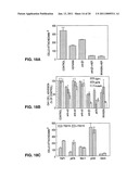 PEPTIDES AND THEIR UTILITY IN MODULATION OF BEHAVIOR OF CELLS EXPRESSING ALPHA3 BETA1 INTEGRINS diagram and image