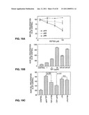 PEPTIDES AND THEIR UTILITY IN MODULATION OF BEHAVIOR OF CELLS EXPRESSING ALPHA3 BETA1 INTEGRINS diagram and image