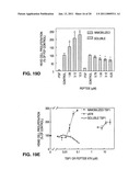 PEPTIDES AND THEIR UTILITY IN MODULATION OF BEHAVIOR OF CELLS EXPRESSING ALPHA3 BETA1 INTEGRINS diagram and image