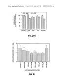 PEPTIDES AND THEIR UTILITY IN MODULATION OF BEHAVIOR OF CELLS EXPRESSING ALPHA3 BETA1 INTEGRINS diagram and image