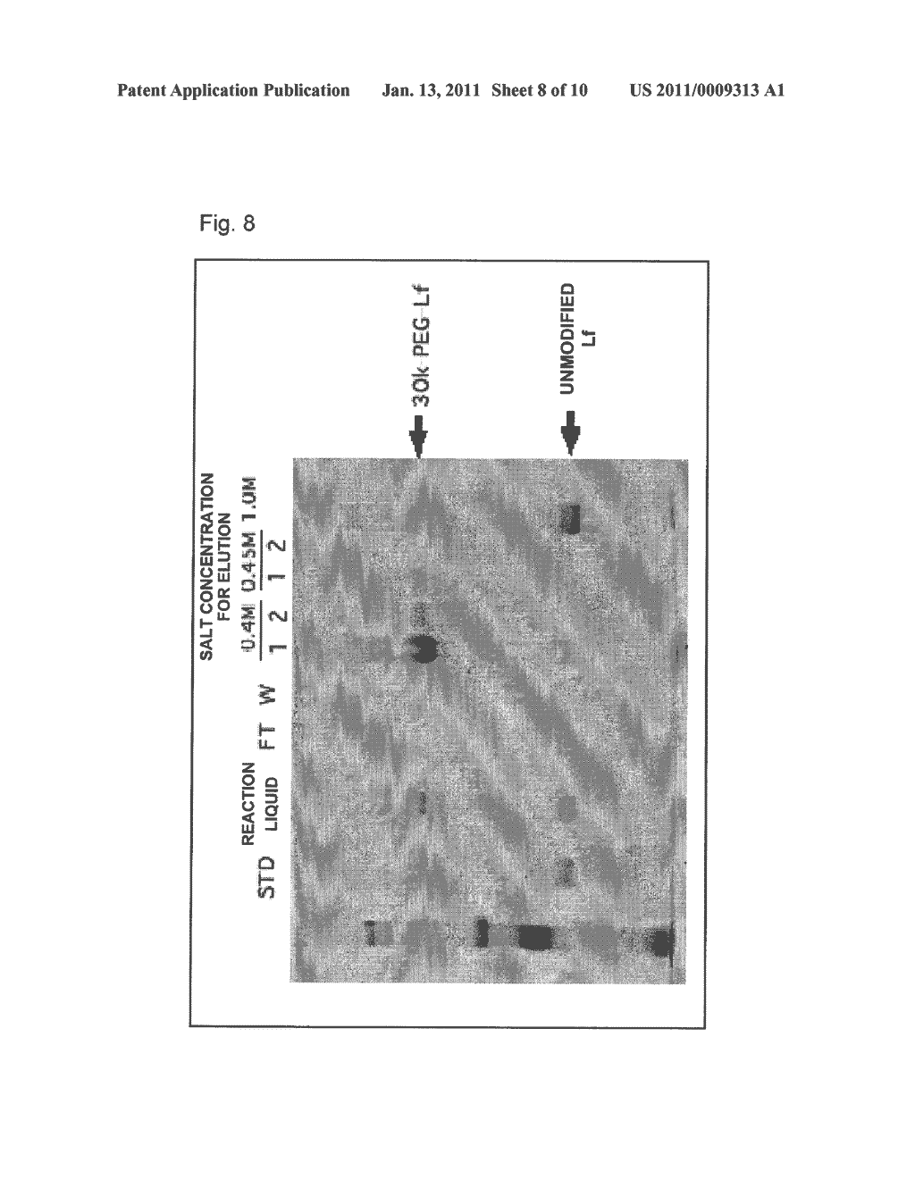 POLYETHYLENE GLYCOLATED LACTOFERRIN COMPLEX AND METHOD OF PRODUCING THE SAME - diagram, schematic, and image 09