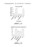 SCREENING ASSAY TO IDENTIFY CORRECTORS OF PROTEIN TRAFFICKING DEFECTS diagram and image