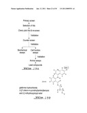 SCREENING ASSAY TO IDENTIFY CORRECTORS OF PROTEIN TRAFFICKING DEFECTS diagram and image