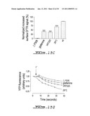 SCREENING ASSAY TO IDENTIFY CORRECTORS OF PROTEIN TRAFFICKING DEFECTS diagram and image