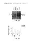 SCREENING ASSAY TO IDENTIFY CORRECTORS OF PROTEIN TRAFFICKING DEFECTS diagram and image