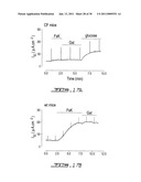 SCREENING ASSAY TO IDENTIFY CORRECTORS OF PROTEIN TRAFFICKING DEFECTS diagram and image