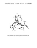 METHODS FOR IDENTIFIYING INHIBITORS AGAINST VIRUSES THAT USE A CLASS I FUSION PROTEIN diagram and image