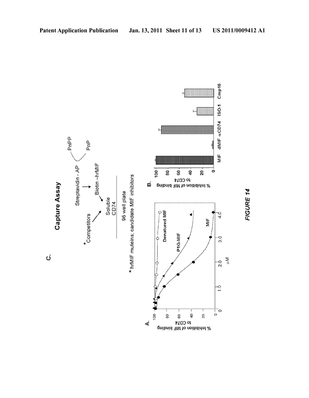MACROPHAGE MIGRATION INHIBITORY FACTOR ANTAGONISTS AND METHODS OF USING SAME - diagram, schematic, and image 12
