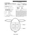 Nucleic acid external skin formulation diagram and image