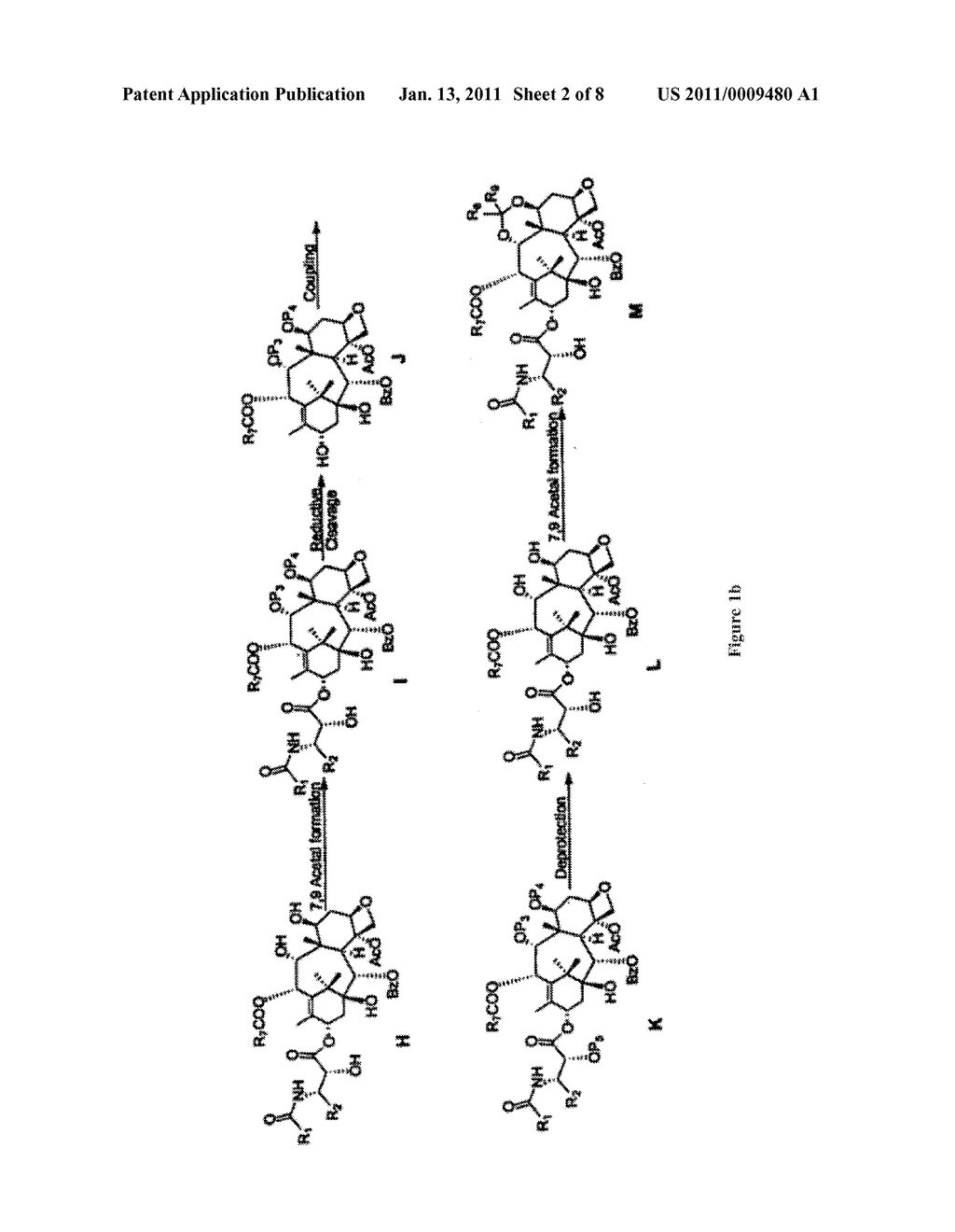 Biologically active taxane analogs and methods of treatment - diagram, schematic, and image 03