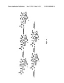 Biologically active taxane analogs and methods of treatment diagram and image