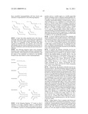 APO-2 RECEPTOR POLYPEPTIDES diagram and image