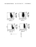 HUMAN CD28 SPECIFIC MONOCLONAL ANTIBODIES FOR ANTIGEN-NONSPECIFIC ACTIVATION OF T-LYMPHOCYTES diagram and image