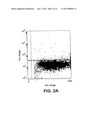 HUMAN CD28 SPECIFIC MONOCLONAL ANTIBODIES FOR ANTIGEN-NONSPECIFIC ACTIVATION OF T-LYMPHOCYTES diagram and image