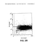 HUMAN CD28 SPECIFIC MONOCLONAL ANTIBODIES FOR ANTIGEN-NONSPECIFIC ACTIVATION OF T-LYMPHOCYTES diagram and image