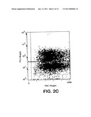 HUMAN CD28 SPECIFIC MONOCLONAL ANTIBODIES FOR ANTIGEN-NONSPECIFIC ACTIVATION OF T-LYMPHOCYTES diagram and image