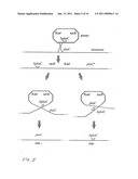 CLARIFICATION OF SPHINGANS AND COMPOSITIONS THEREOF diagram and image