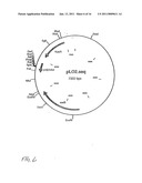 CLARIFICATION OF SPHINGANS AND COMPOSITIONS THEREOF diagram and image