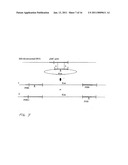 CLARIFICATION OF SPHINGANS AND COMPOSITIONS THEREOF diagram and image