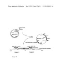 CLARIFICATION OF SPHINGANS AND COMPOSITIONS THEREOF diagram and image