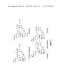 METHODS OF MANUFACTURING CRYSTALLING FORMS OF RAPAMYCIN ANALOGS diagram and image