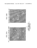 FLUORESCENCE OBSERVATION APPARATUS diagram and image