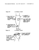 Rhythmic percussion exercise garment with electronic interface and method of conducting an exercise program diagram and image