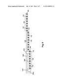 PIGGY-BACK PERCUTANEOUS LEAD INSERTION KIT diagram and image