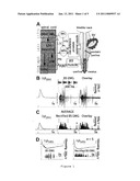 METHOD FOR RESTORING AN EJACULATORY FAILURE diagram and image