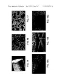 Nanoparticle loaded electrospun implants or coatings for drug release diagram and image