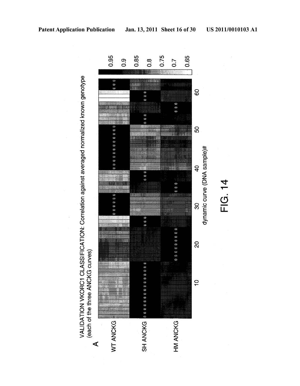 RAPID METHOD OF PATTERN RECOGNITION, MACHINE LEARNING, AND AUTOMATED GENOTYPE CLASSIFICATION THROUGH CORRELATION ANALYSIS OF DYNAMIC SIGNALS - diagram, schematic, and image 17