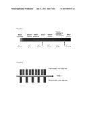 METHOD, APPARATUS AND COMPUTER PROGRAM FOR MULTIPLE TIME STEPPING SIMULATION OF A THERMODYNAMIC SYSTEM diagram and image