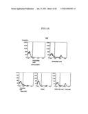 Method of Producing a Mouse Suitable for Engraftment, Differentiation and Proliferation of Heterologous Cells, Mouse Produced by This Method and Use of the Mouse diagram and image