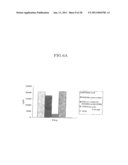 Method of Producing a Mouse Suitable for Engraftment, Differentiation and Proliferation of Heterologous Cells, Mouse Produced by This Method and Use of the Mouse diagram and image