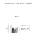 Method of Producing a Mouse Suitable for Engraftment, Differentiation and Proliferation of Heterologous Cells, Mouse Produced by This Method and Use of the Mouse diagram and image