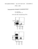 Method of Producing a Mouse Suitable for Engraftment, Differentiation and Proliferation of Heterologous Cells, Mouse Produced by This Method and Use of the Mouse diagram and image