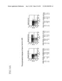 Method of Producing a Mouse Suitable for Engraftment, Differentiation and Proliferation of Heterologous Cells, Mouse Produced by This Method and Use of the Mouse diagram and image