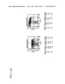 Method of Producing a Mouse Suitable for Engraftment, Differentiation and Proliferation of Heterologous Cells, Mouse Produced by This Method and Use of the Mouse diagram and image