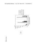 Method of Producing a Mouse Suitable for Engraftment, Differentiation and Proliferation of Heterologous Cells, Mouse Produced by This Method and Use of the Mouse diagram and image