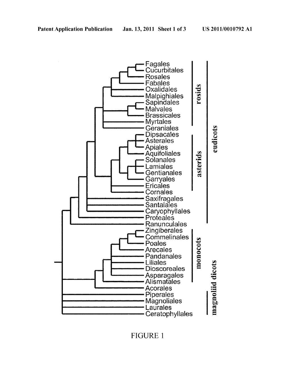 PLANT POLYNUCLEOTIDES FOR IMPROVED YIELD AND QUALITY - diagram, schematic, and image 02